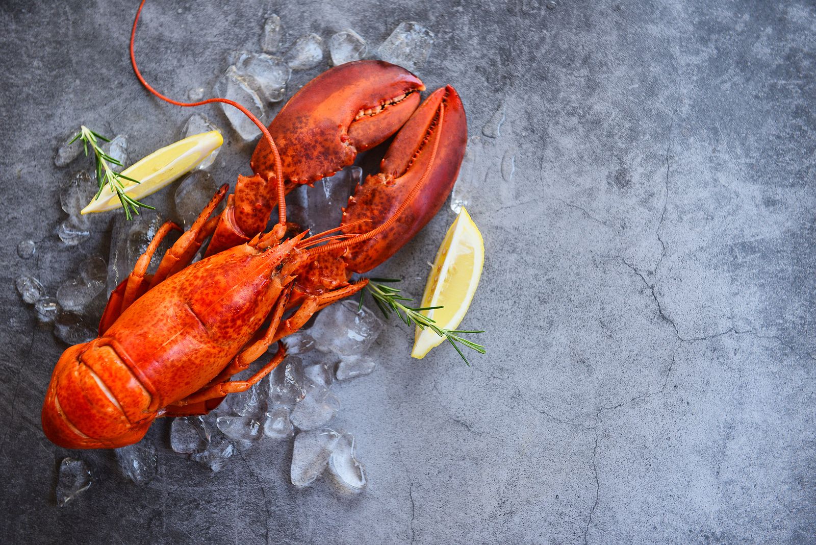 Consejos para disfrutar del mejor marisco del supermercado en Navidad