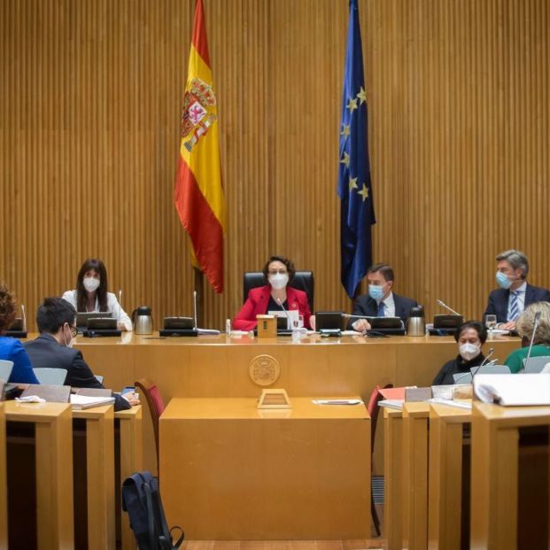 OTRO RATONCITO. (Comisión del Pacto de Toledo). Foto: Europa Press