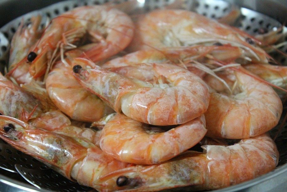 shrimp 489643 1280
