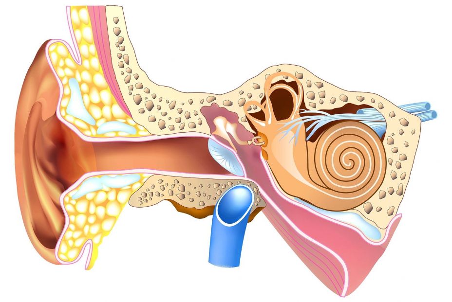 Presbiacusia: Pérdida de audición relacionada con la edad