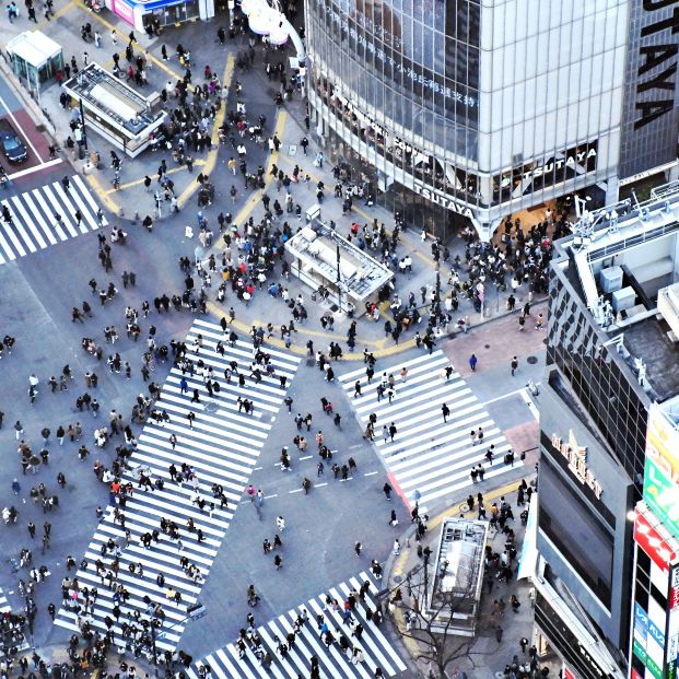 La ciudad de Tokio corre un gran peligro de desaparecer este siglo 