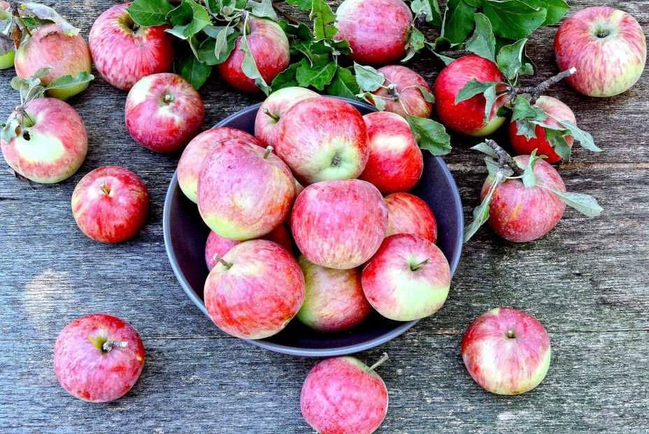 Alimentos saciantes para bajar de peso