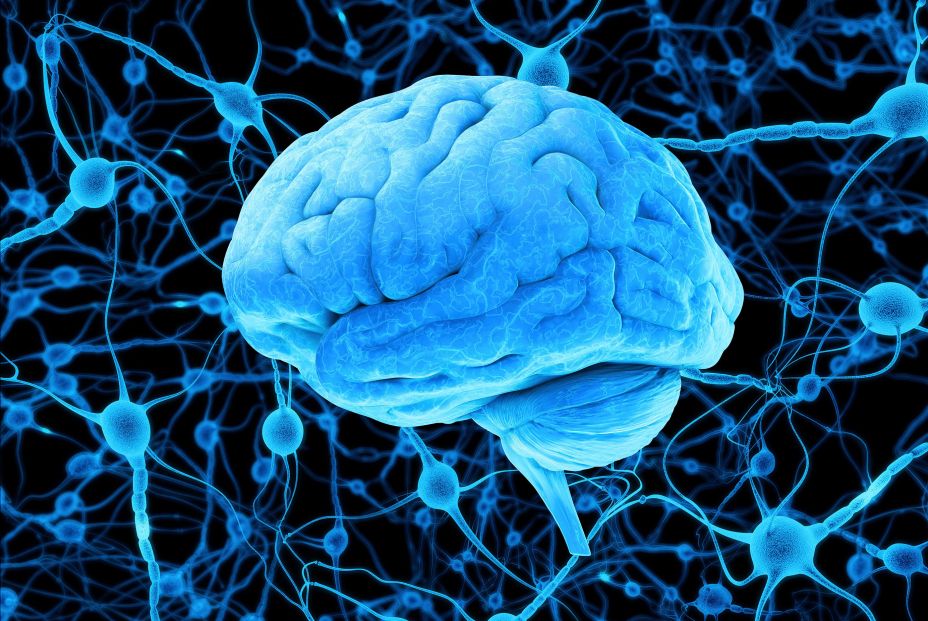Descubren un posible beneficio de la estimulación eléctrica del cerebro en enfermos de Parkinson