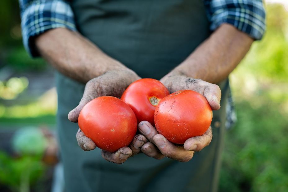 Despega el 'Amazon' de los agricultores: cómo comprar frutas y verduras a domicilio