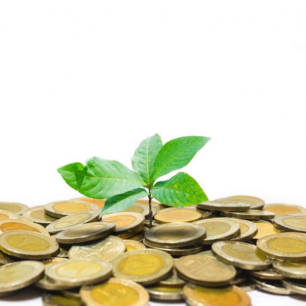Los PGE perjudican a quienes hacen aportaciones obligatorias a su plan de empleo, según OCOPEN (Foto: BigStock)
