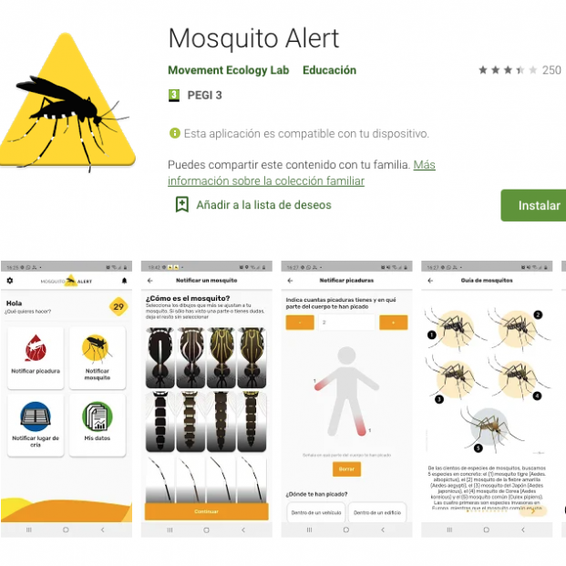 ¡Alerta mosquito! La app de participación ciudadana que los vigila en tiempo real (Foto-Mosquito Alert, Google Play)