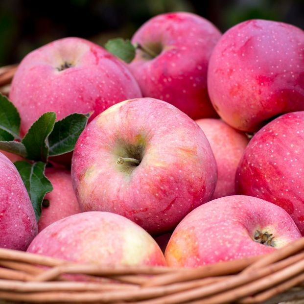 Consumir manzana ayuda a regular el azúcar en sangre