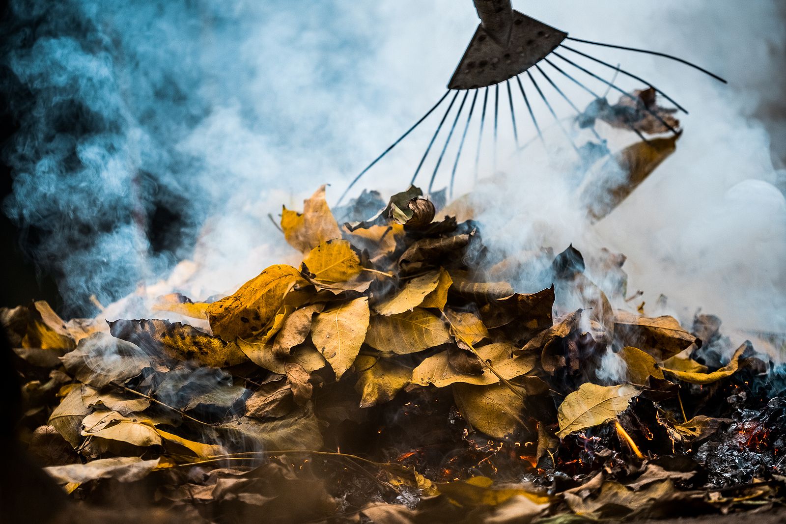 ¿Qué hacer cuando entra humo en los ojos?