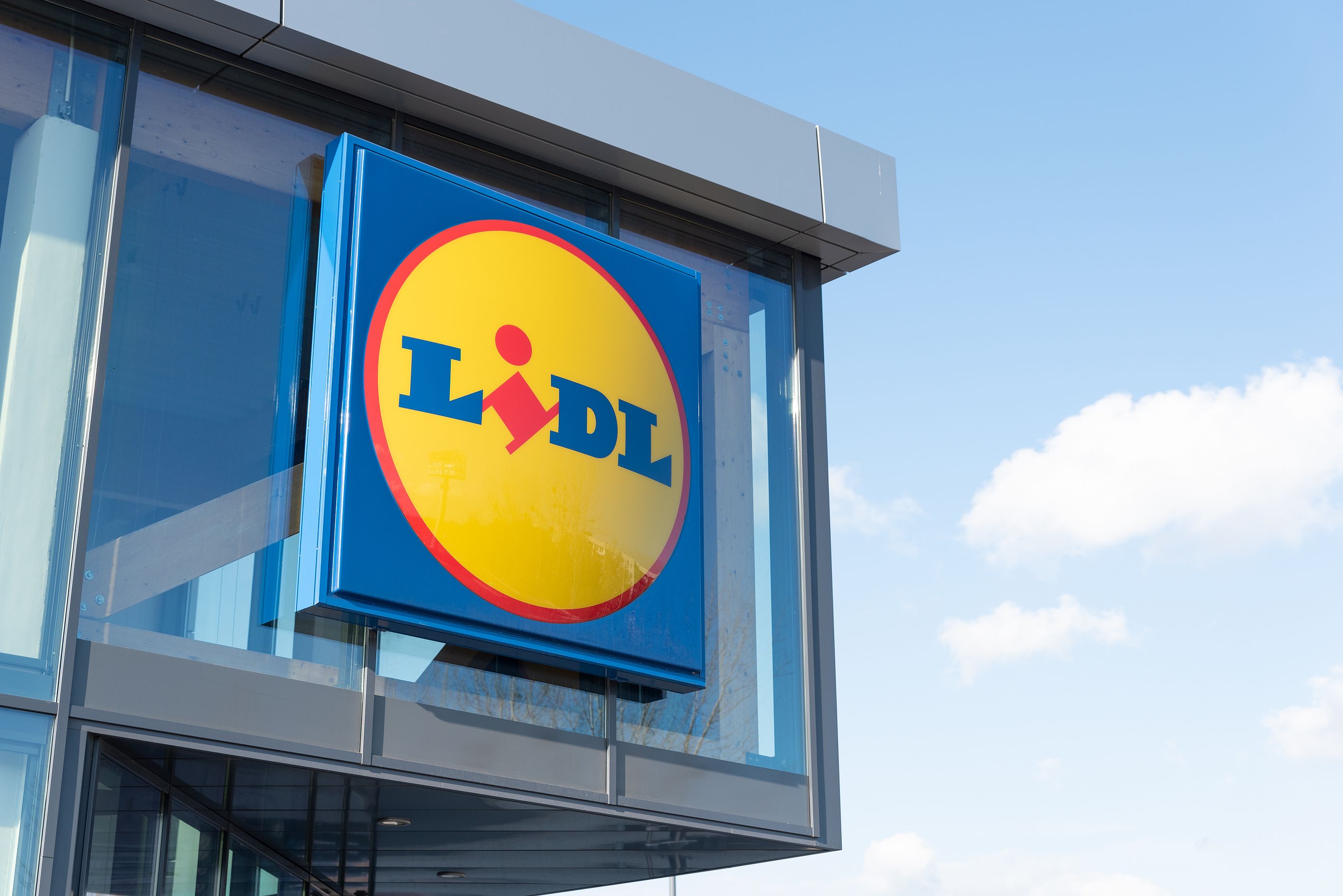 Envasadora al vacío de Lidl: el electrodoméstico ideal para mantener tus  alimentos más tiempo