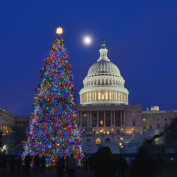 Estos son los 10 árboles de Navidad más emblemáticos del mundo Foto: bigstock