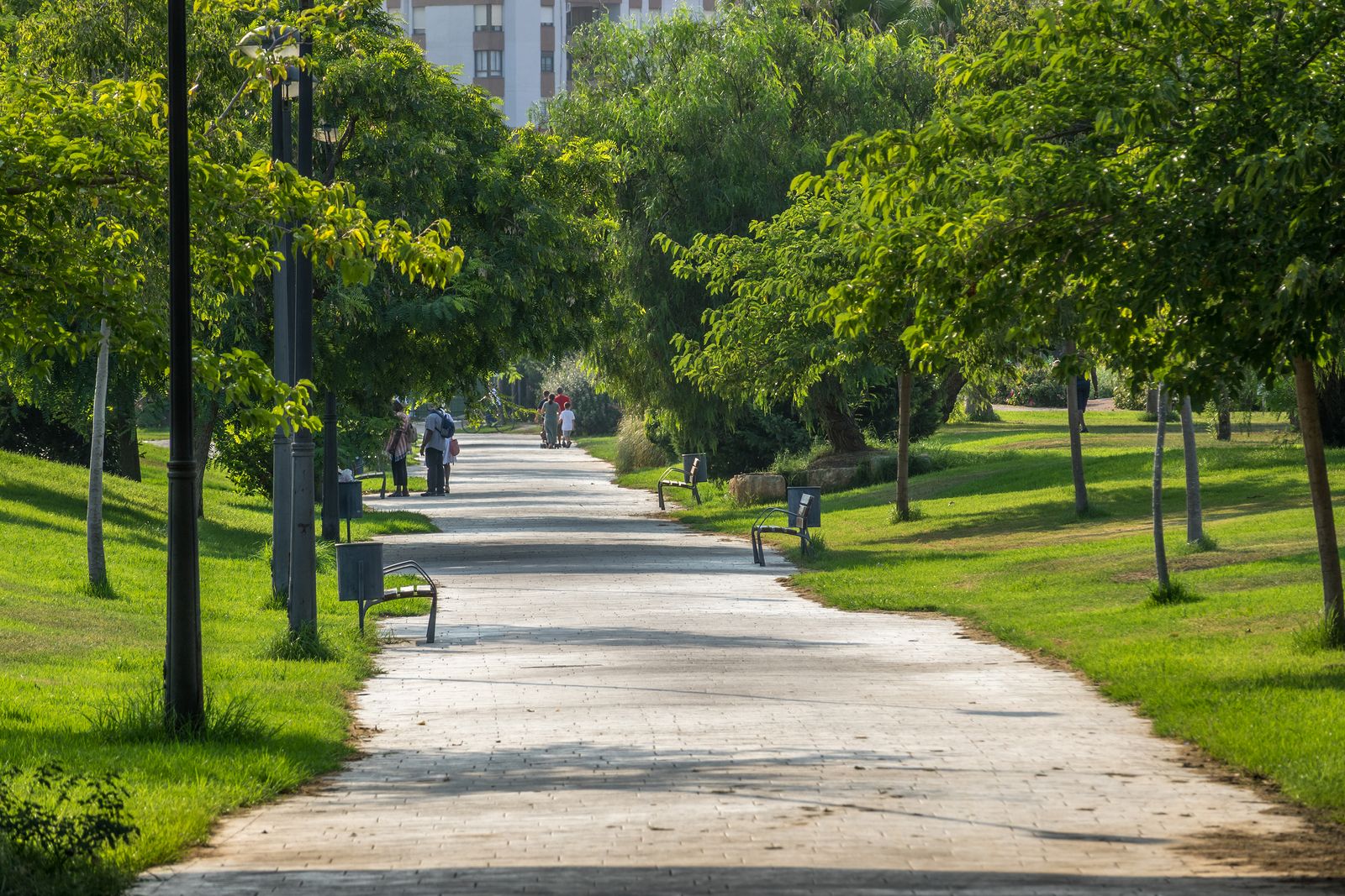 Tres parques al aire libre para hacer deporte en Valencia (Big stock)