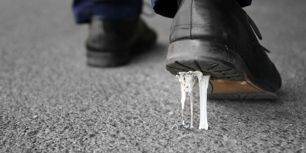Cómo quitar un chicle de la suela de tu zapato ¡Y de tu alfombra! (Foto Bigstock) 4 Cómo quitar un chicle de la suela de tu zapato ¡Y de tu alfombra! (Foto Bigstock) 4