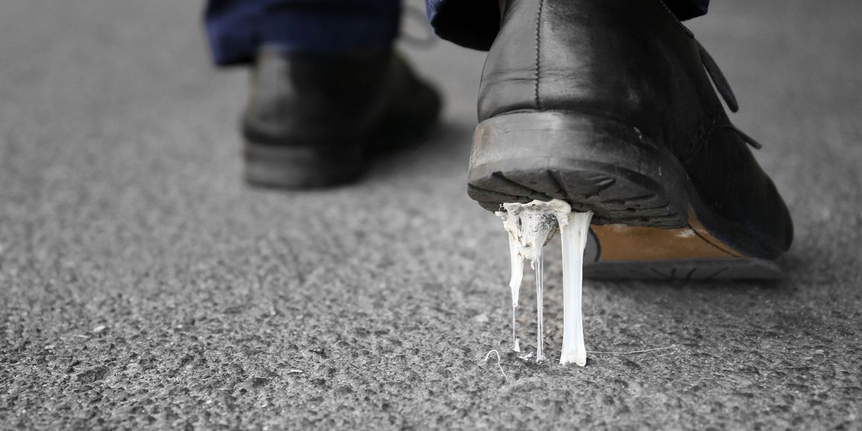 Cómo quitar un chicle de la suela de tu zapato ¡Y de tu alfombra! (Foto Bigstock) 4