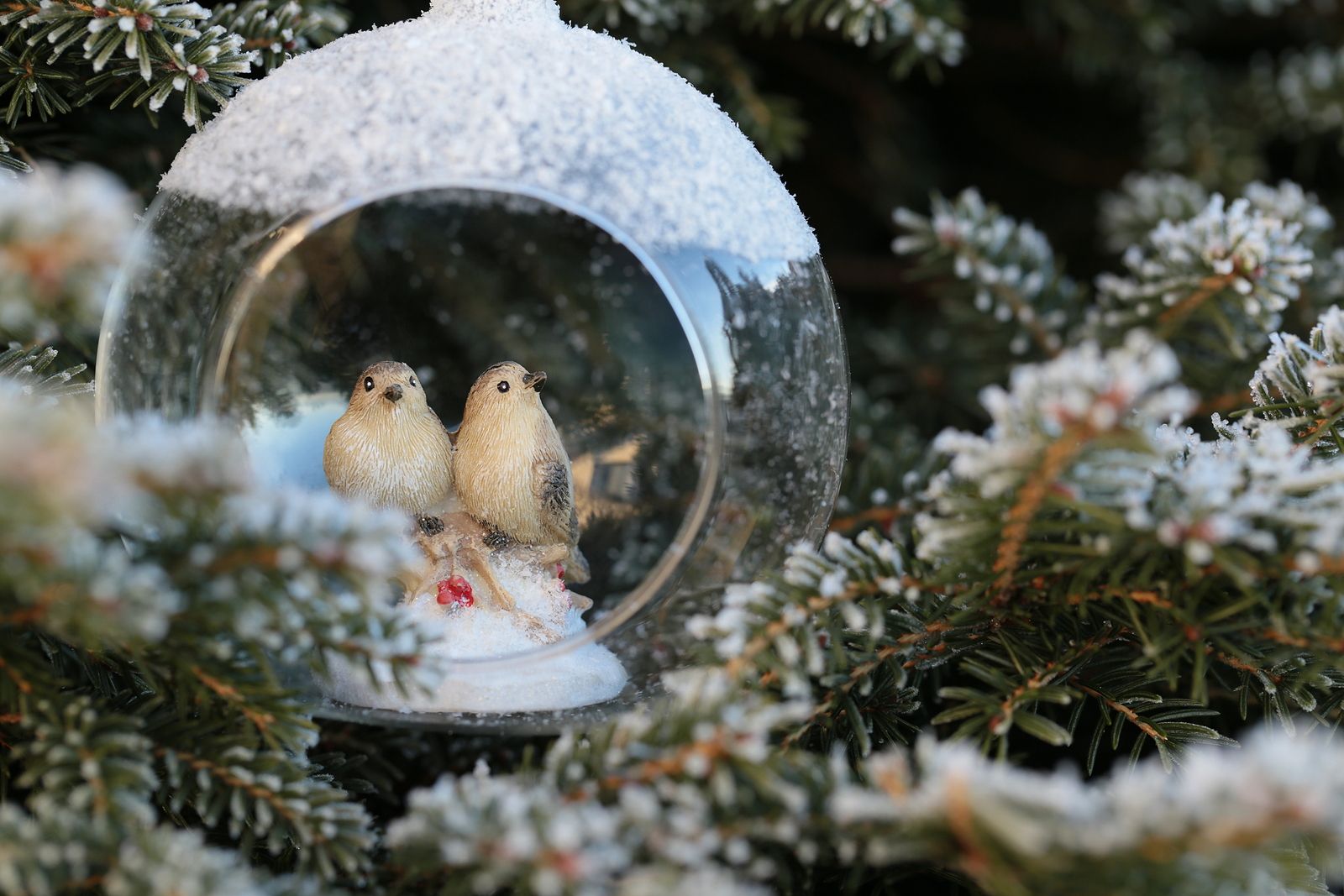Con esta decoración navideña tu casa será tendencia Foto: bigstock