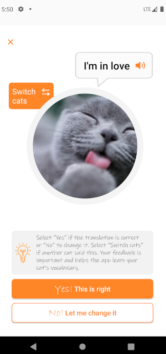 MeowTalk, la app que traduce gatos