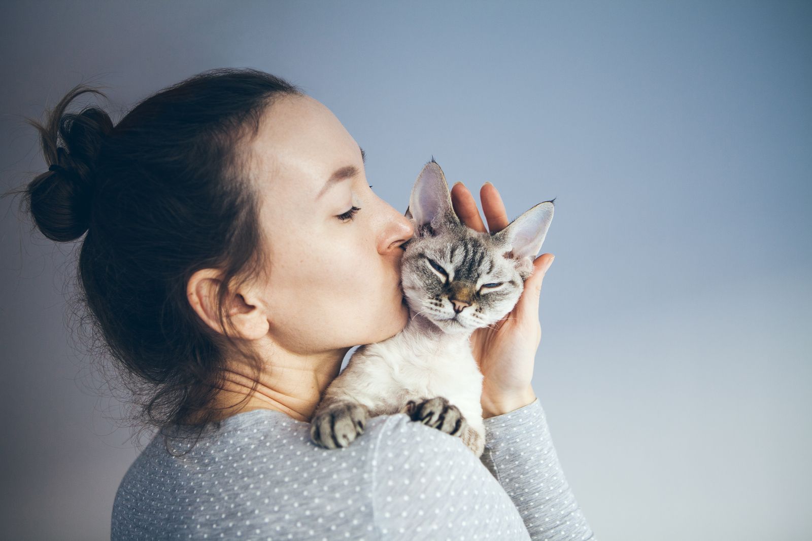¿Conoces el lenguaje de tu gato? (bigstock)