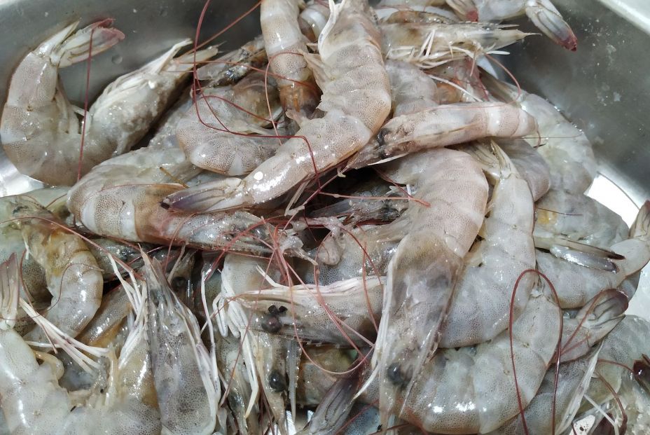 bigstock Indian Detailed Raw Prawns In  377703355