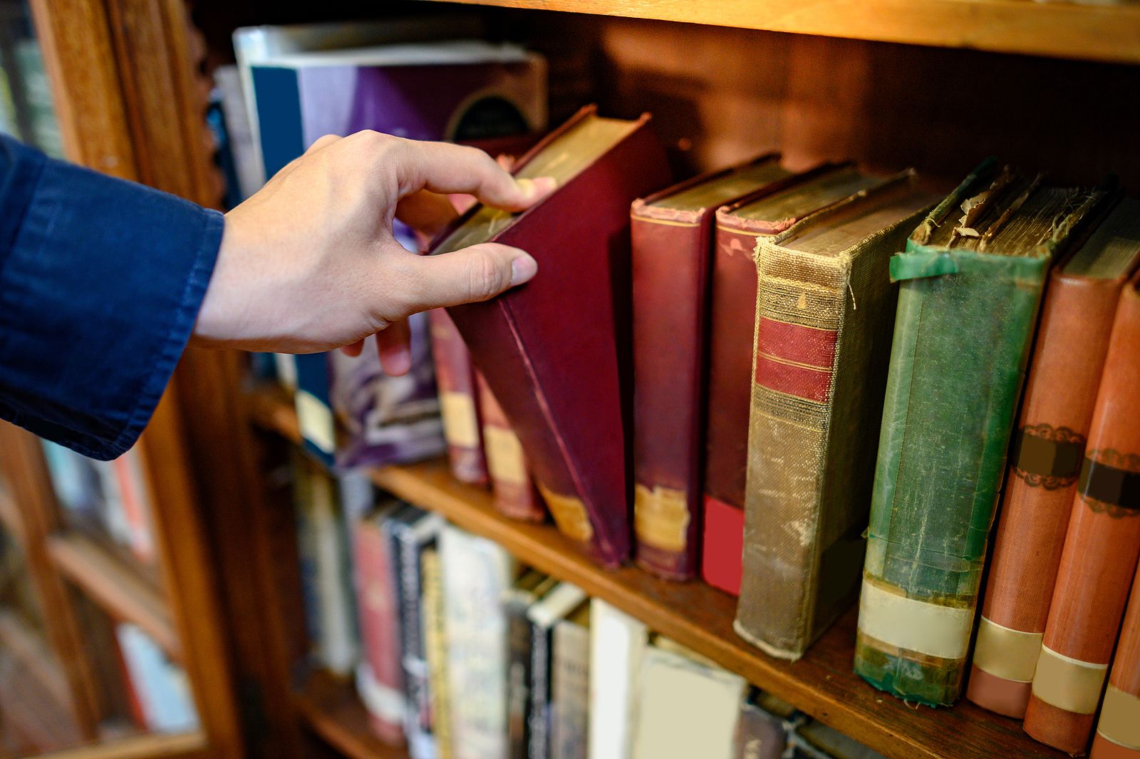 Libros que puedes regalar esta Navidad