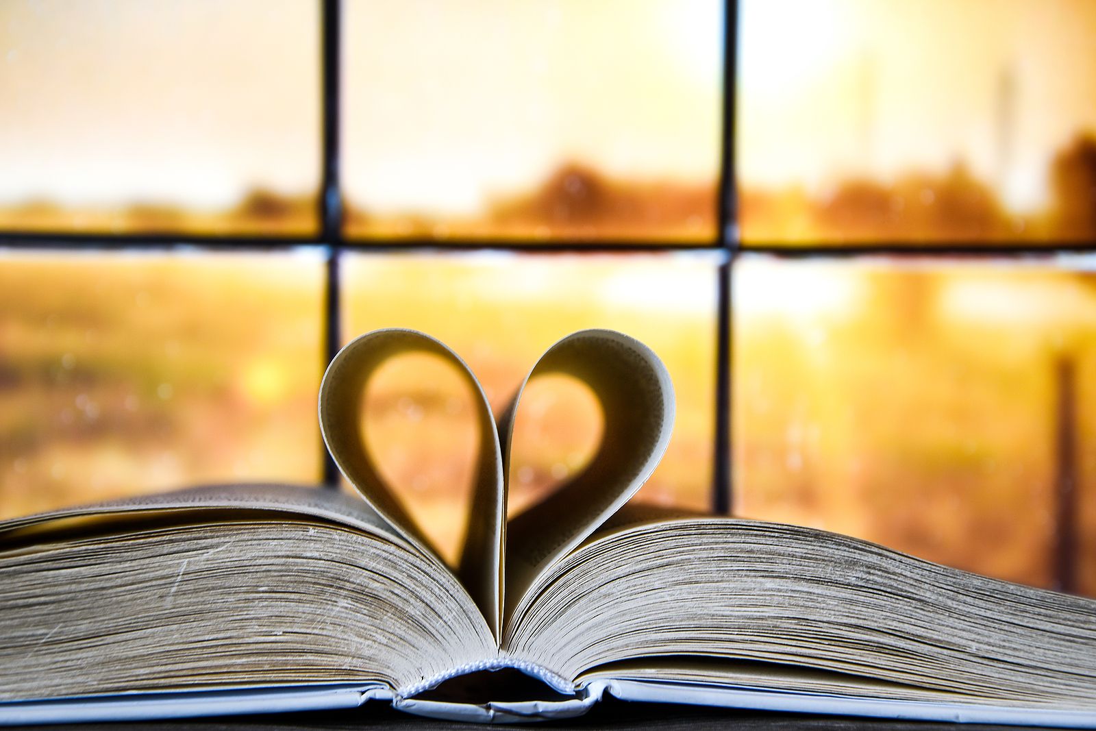 Siete novelas románticas que debes leer Foto: bigstock 