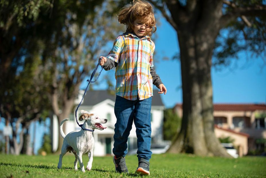 bigstock Child And Puppy Outside Happy 396430256