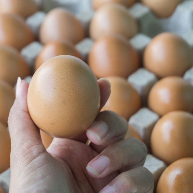 Por qué no debes lavar nunca los huevos (Foto Bigstock)