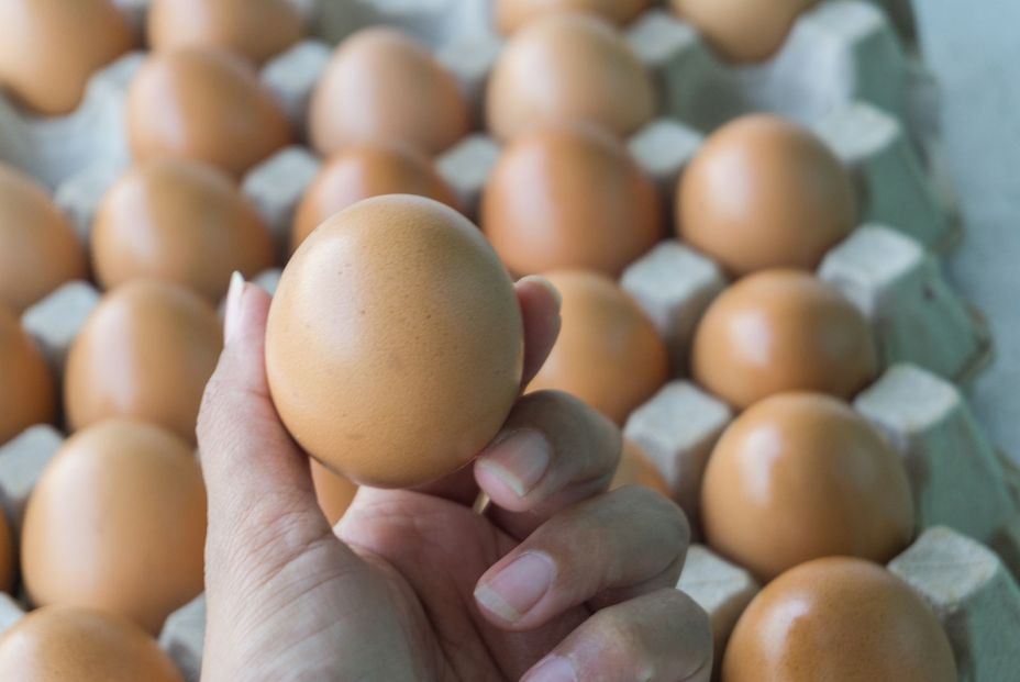 Por qué no debes lavar nunca los huevos (Foto Bigstock)