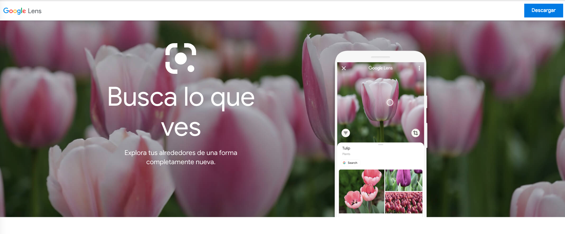 ¿Qué es y cómo instalar Google Lens? ¿Qué es y cómo instalar Google Lens?