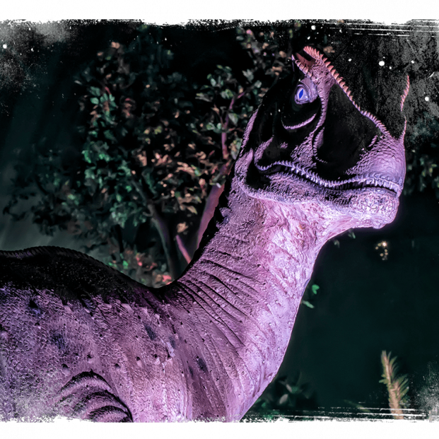 Dinosaurios en Madrid (Foto: web oficial)
