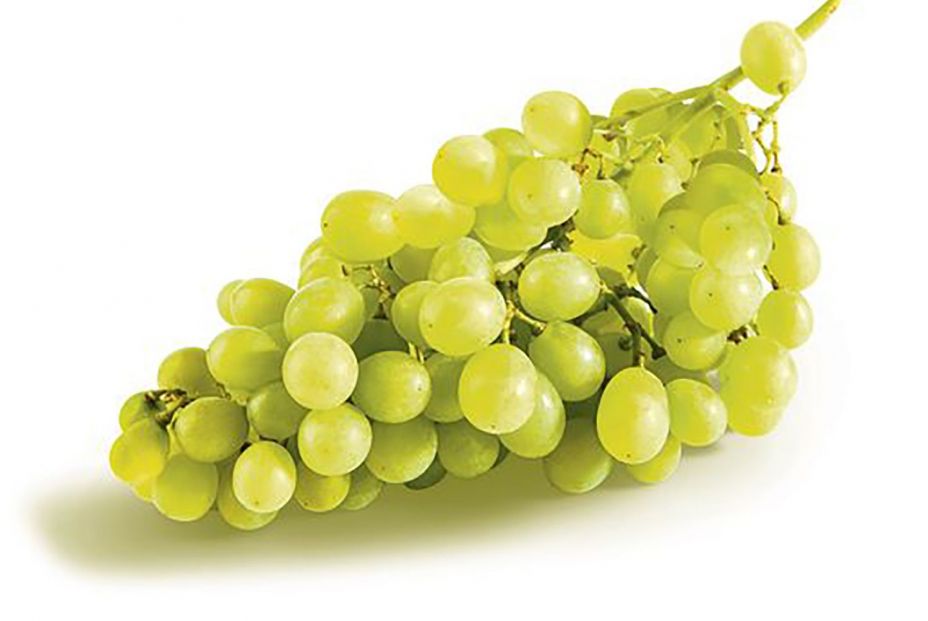 dia uvas