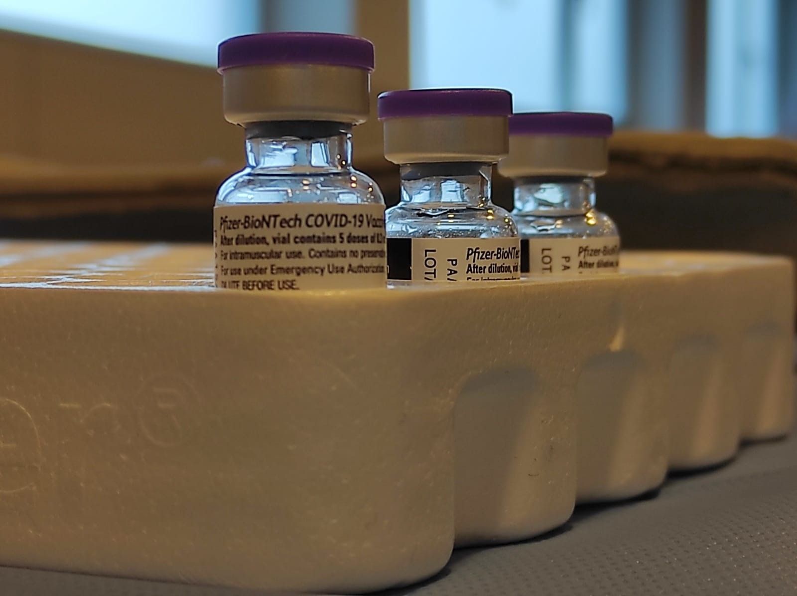 EuropaPress 3495891 dosis vacuna coronavirus esperando ser inyectadas hospital san pedro