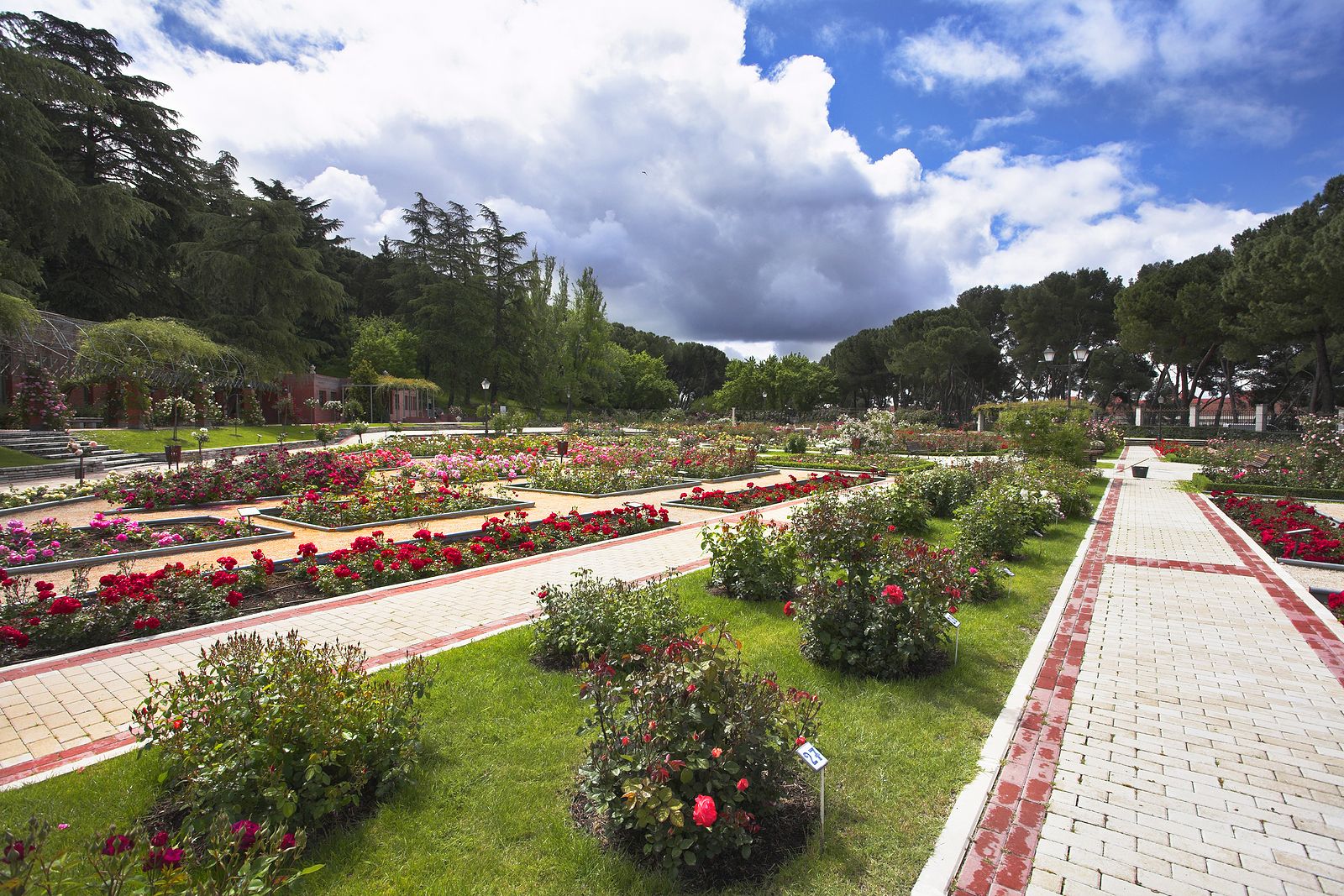 La Rosaleda de Madrid, una de las visitas más especiales de la capital Foto: bigstock 