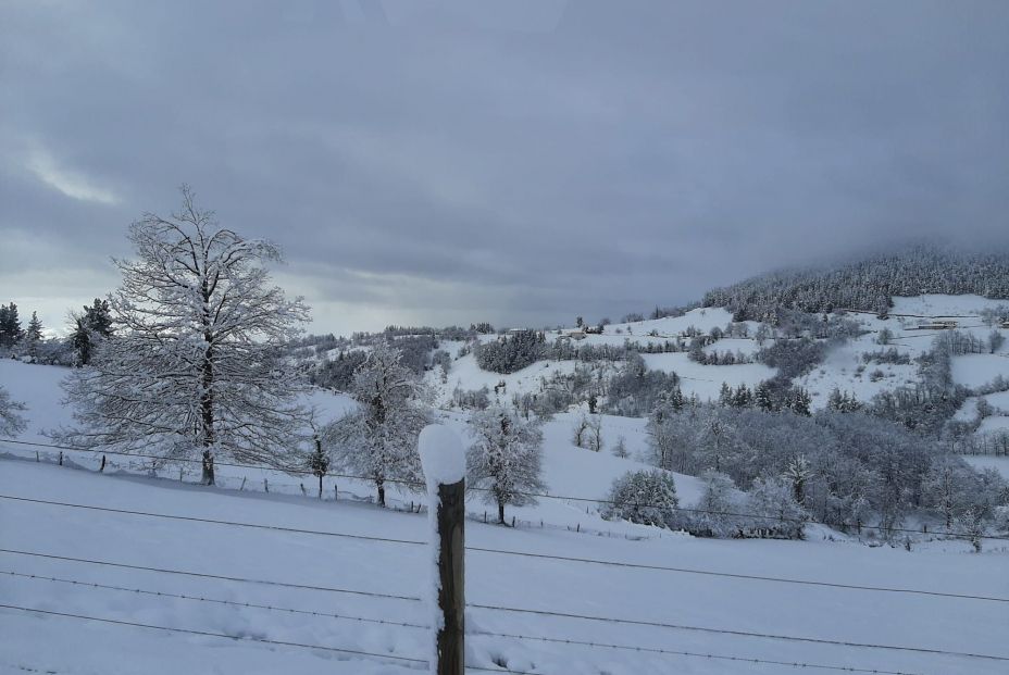 Cangas del Narcea