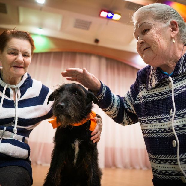La música y los perros pueden mejorar la calidad de vida de los pacientes con Alzheimer Foto: bigstock