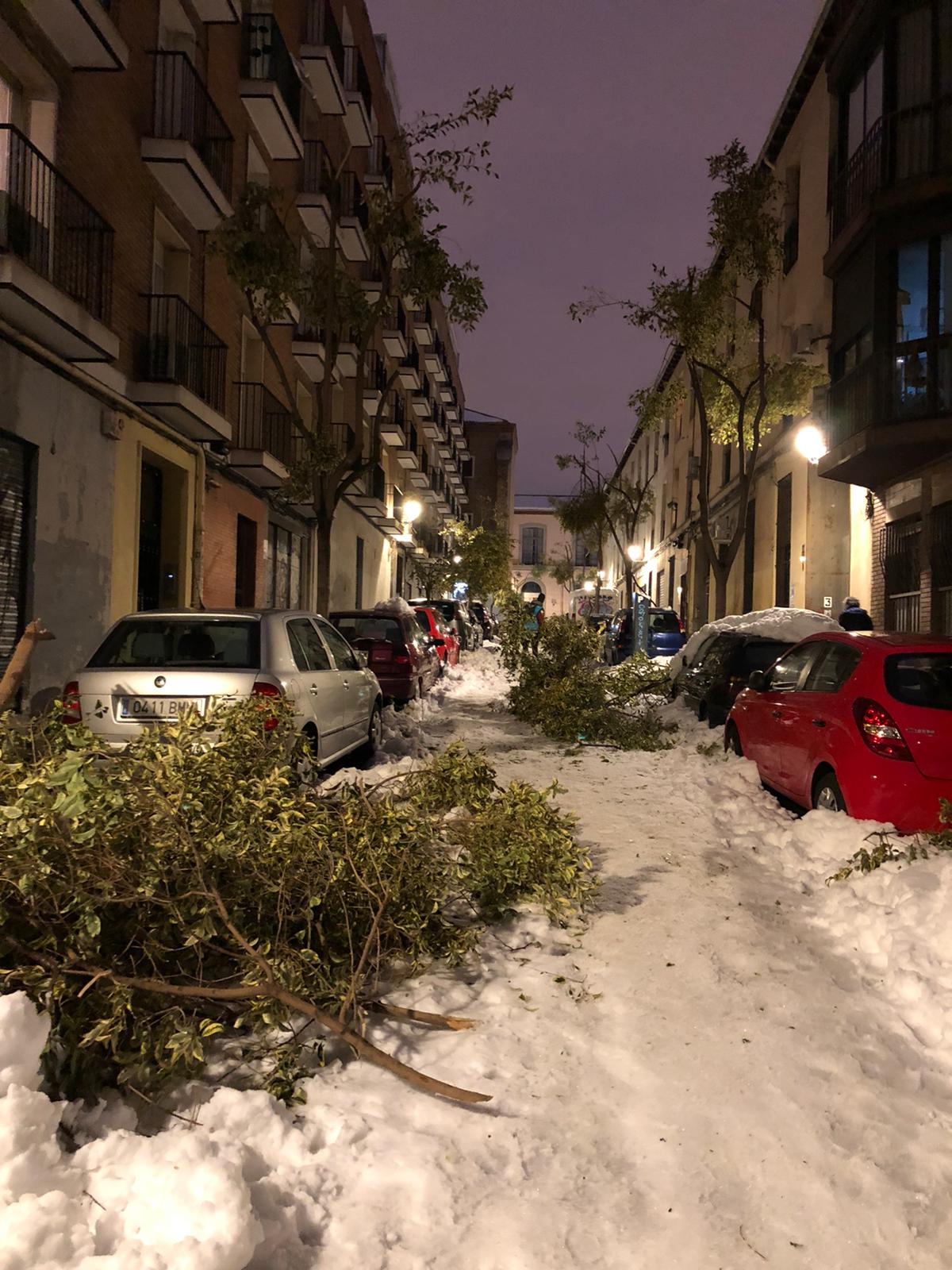 Pandemias en la nieve