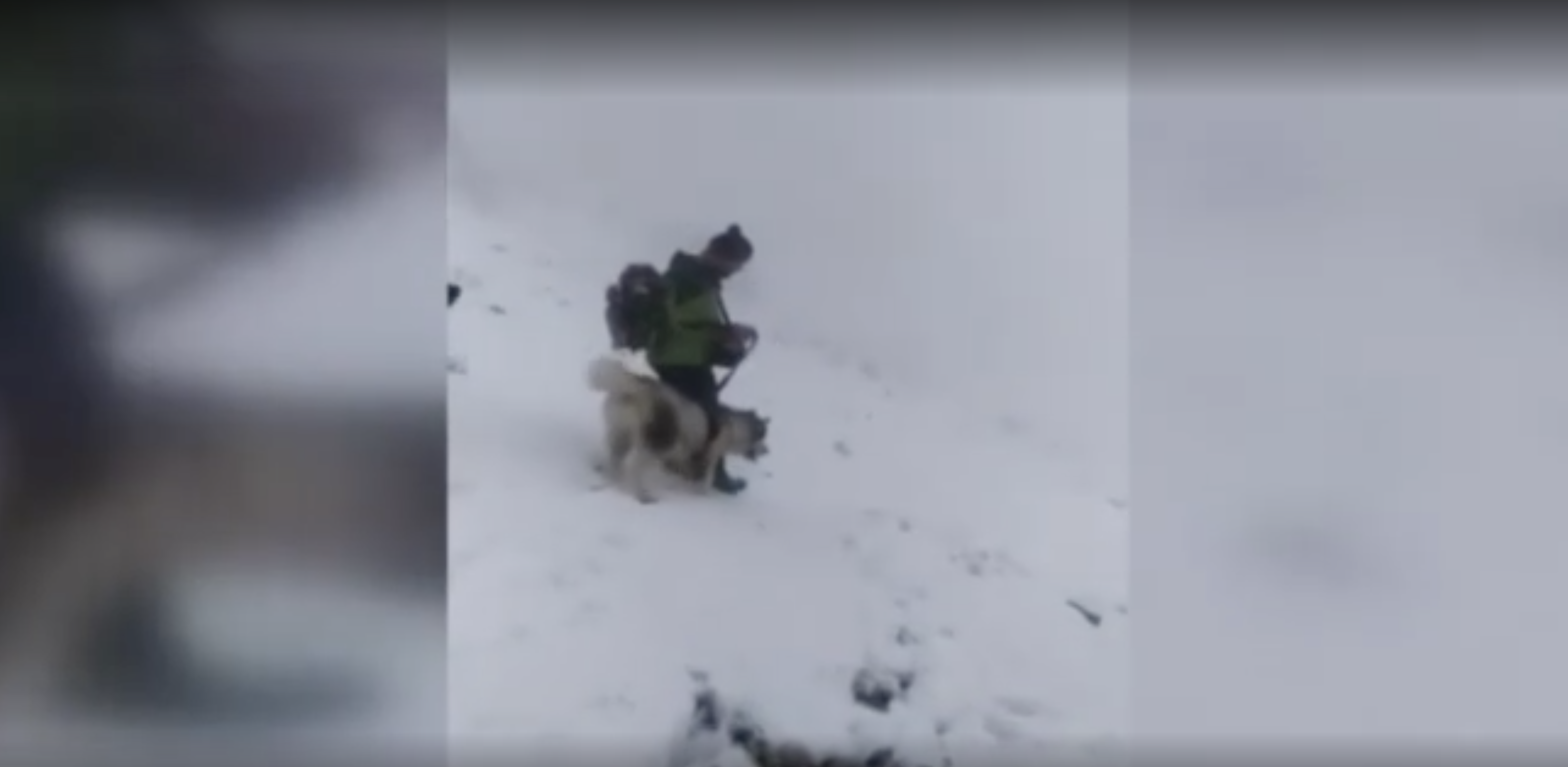 Rescatan a un perro en pleno temporal tras un desesperado llamamiento desde las redes sociales
