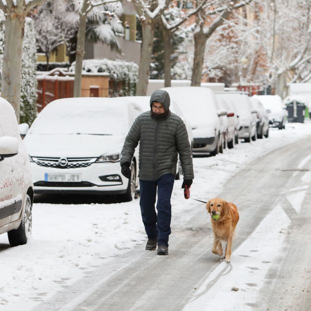 Nevadas en la provincia de Teruel. Foto: Europa Press 