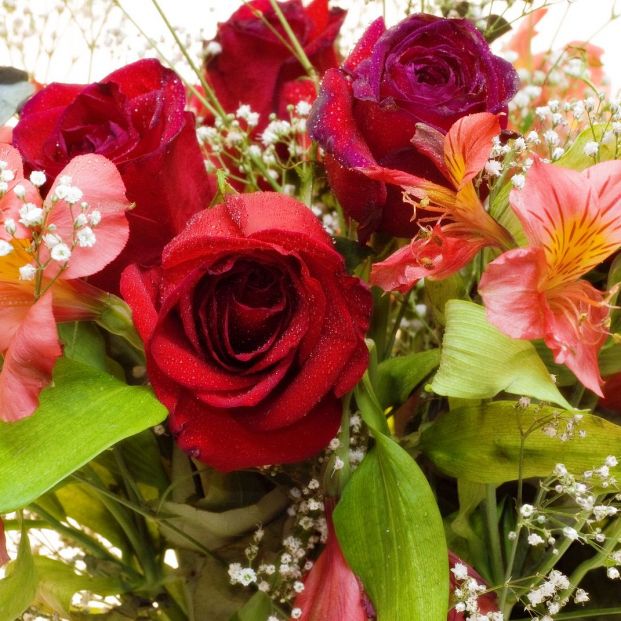 Ejercer hermosa Depender de Ramos de flores para cada ocasión, descubre cómo elegirlos