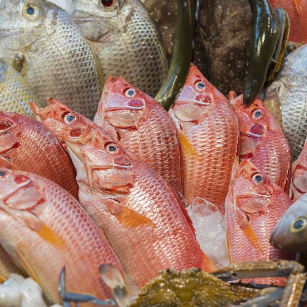 Los alimentos congelados también tienen fecha de caducidad