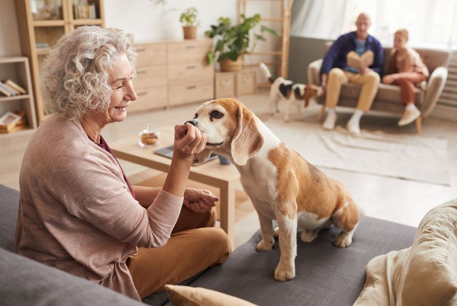 Cómo debemos adaptar la alimentación de nuestro perro al hacerse mayor