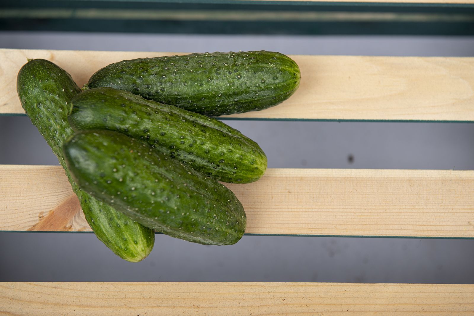 El pepino, bajo en calorías y rico en vitaminas Foto: bigstock 