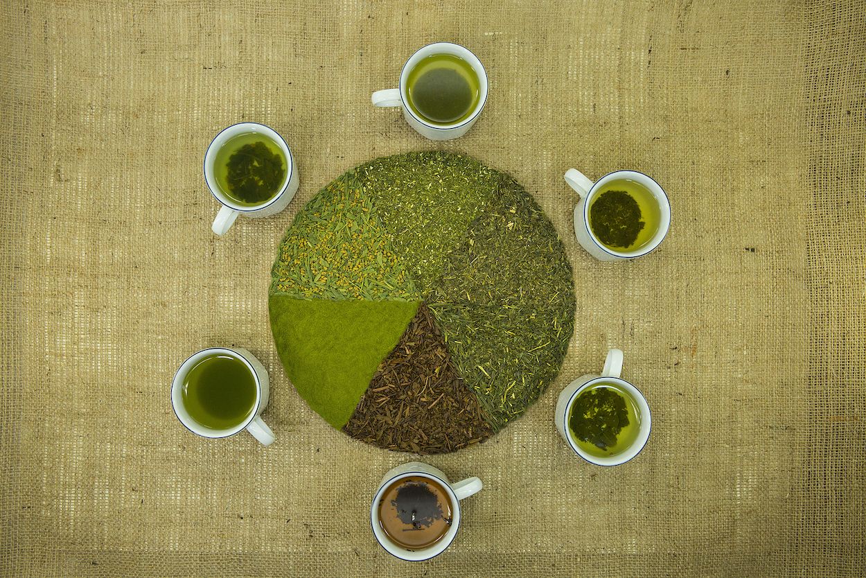 Ocho tipos diferentes de té verde