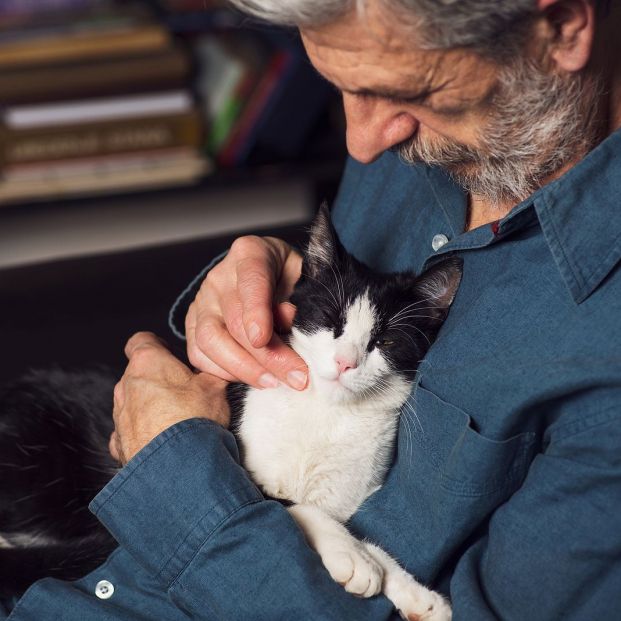 Algunos gatos tratan de manera especial a uno de sus dueños