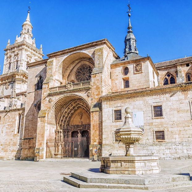 Ruta por las principales catedrales góticas de Castilla y León Foto: bigstock