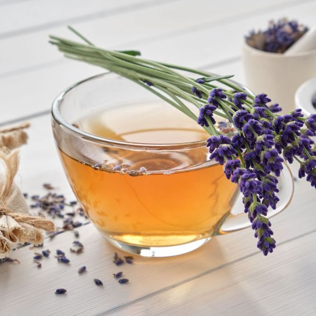 Lavanda: la flor que cura las heridas físicas y emocionales Foto: bigstock