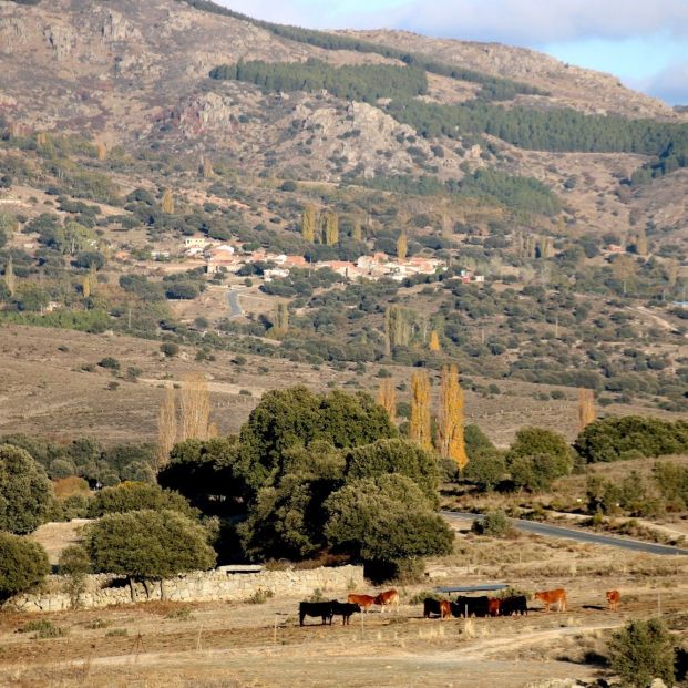 España vaciada: pueblos con un único habitante