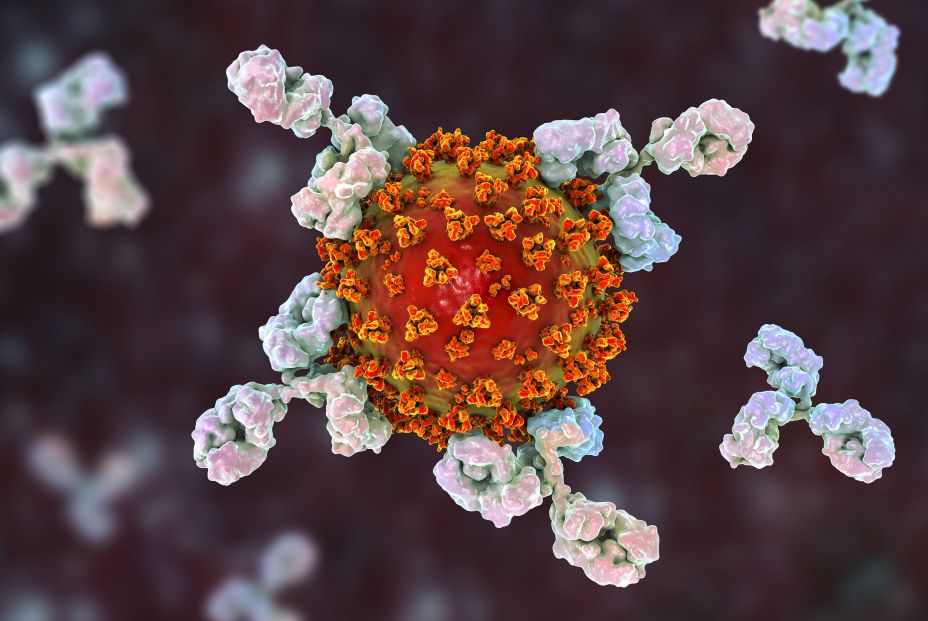 Lo que se sabe de la nueva cepa brasileña del coronavirus