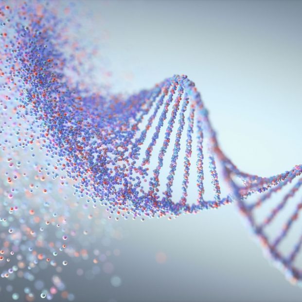 La herencia genética influye para que la covid ataque con mayor virulencia a las personas infectadas. Foto: Bigstock 