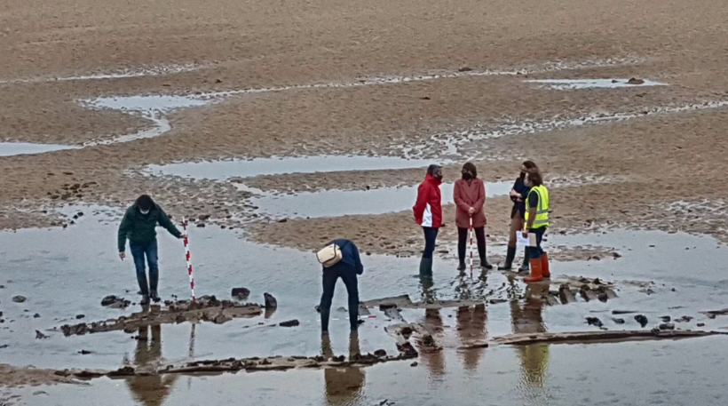 Hallado en la Ría de San Vicente de la Barquera 