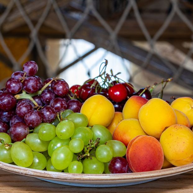 Estas son las mejores frutas para darle a tu perro