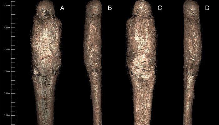 Egyptian muddymummy height700x400 Egyptian muddymummy height700x400